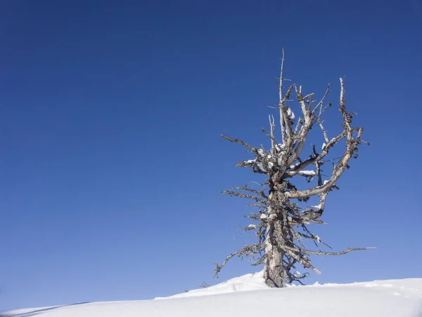 Inverno nella valle del Riss — Foto Stock