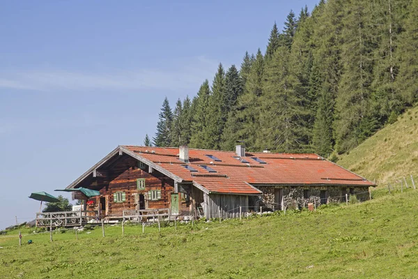 Baumoosalm im Sudelfeld area — Stok fotoğraf