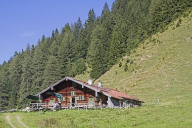 Baumoosalm im Sudelfeld area