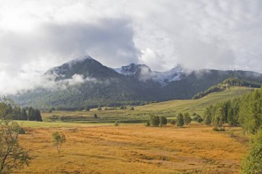 Bataklık Monte Bondone üzerinde