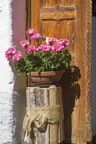 Bloem decoratie voor de deur — Stockfoto