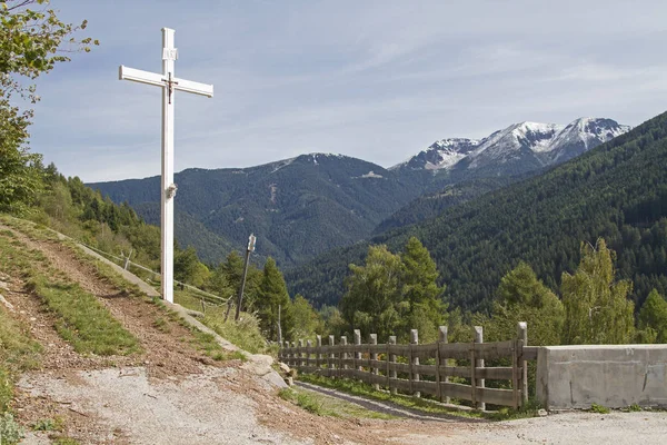Tak kříž na planině, borovice — Stock fotografie