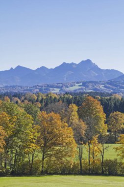 Taubenberg görünümünden