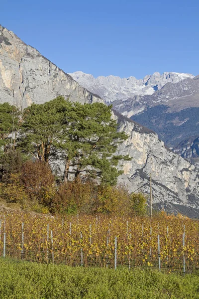 Blick auf die Brenta-Gruppe — Stockfoto