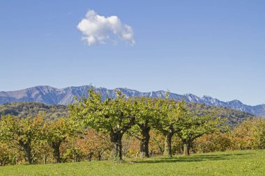 Monti Lessini sonbahar