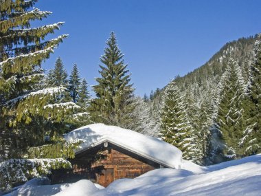 Scheuerer hut in  winter