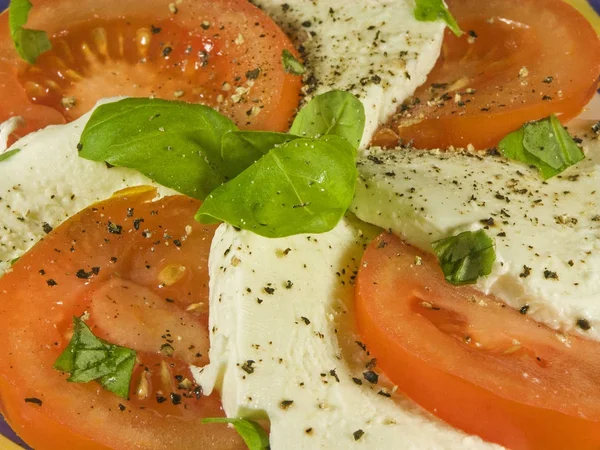 皿の上にトマトとモッツァレラ — ストック写真