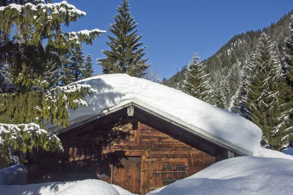 Scheuerer hut in  winter