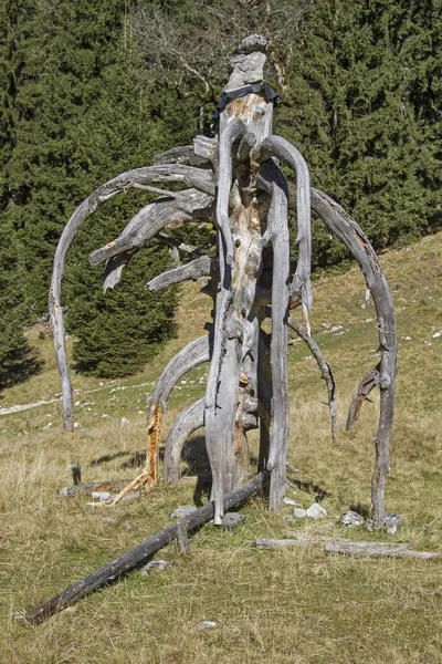 Bisarra mästerverk av naturen — Stockfoto