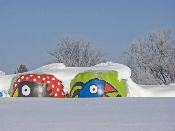 Verloren in de sneeuw — Stockfoto