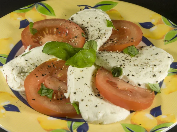 Mozzarella con tomates en un plato —  Fotos de Stock