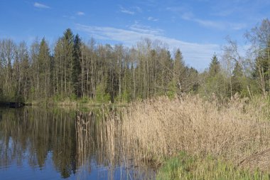 Upper Bavaria Moosham gölette