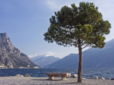 Limone beach Promenade çam