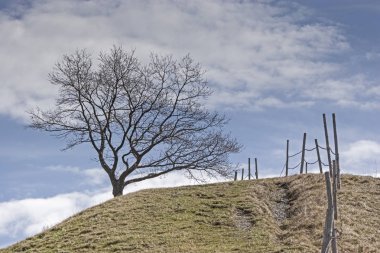 Upper Bavaria Murnau yakınındaki manzara