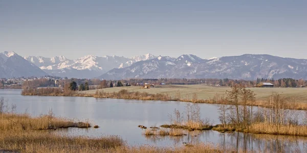 Riegsee - Moor lake in the foothills of the Alps — Stock Photo, Image