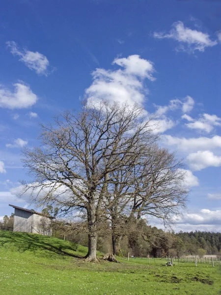 Paysage des contreforts sur le Grand Ostersee — Photo