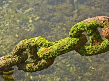 Zincir detayı - bozuk ve Mossed