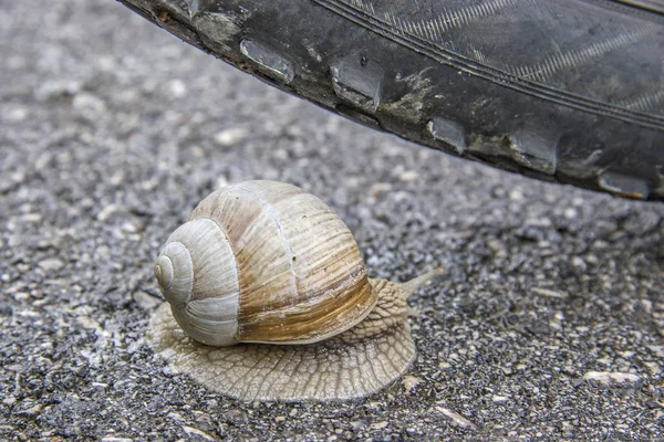 Ruta peligrosa — Foto de Stock