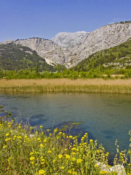 Paisagem no rio Cetina na Croácia — Fotografia de Stock