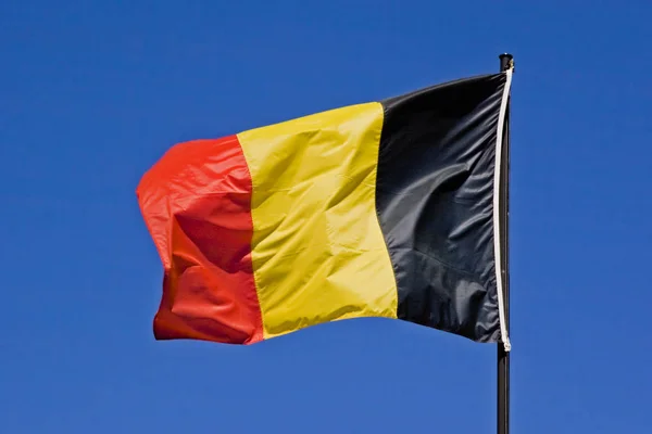 Belga nemzeti lobogó — Stock Fotó