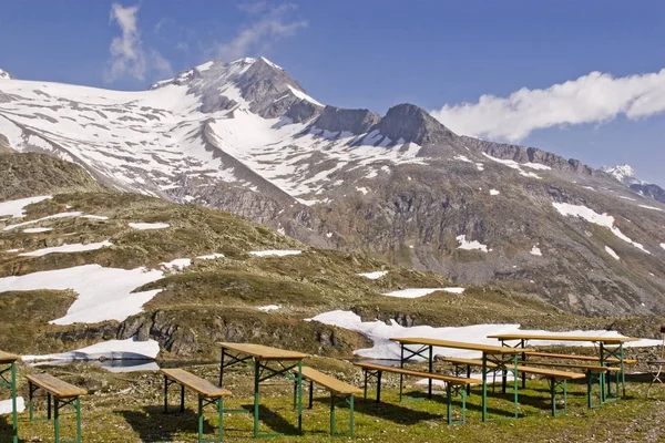 Wysoki alpejski ogródek na Pfitscher Joch — Zdjęcie stockowe