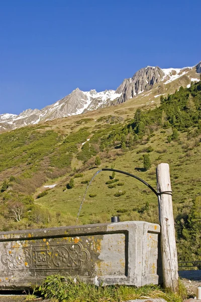 Su un pascolo in Alto Adige — Foto Stock