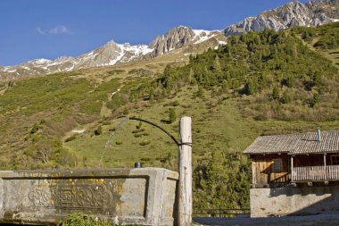 South Tyrol üzerinde bir mera