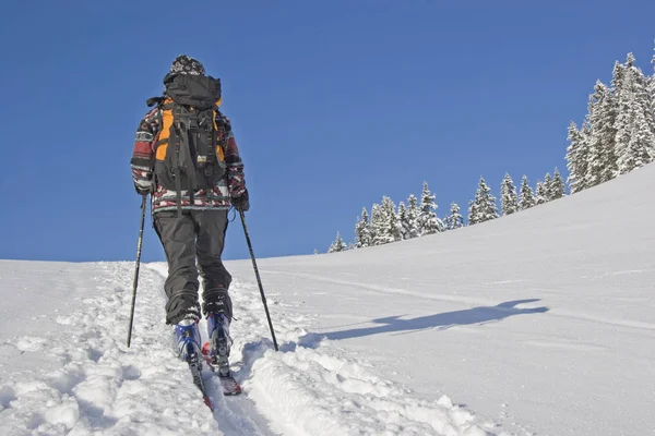 Aufstieg mit den Skiern — Stockfoto