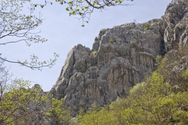 Paklenica gorge Hırvatistan