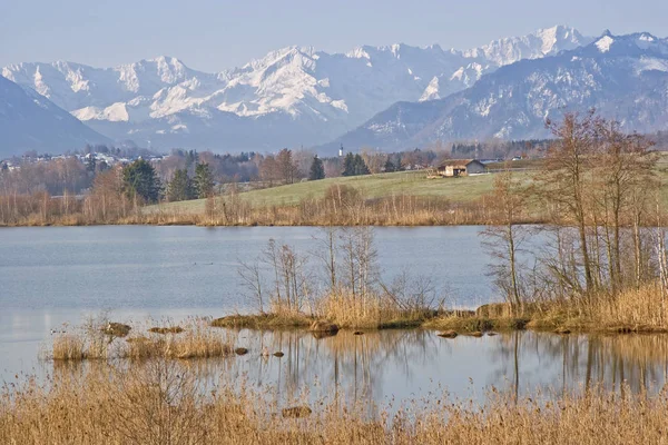 RIEGSEE - Moor sjön vid foten av Alperna — Stockfoto