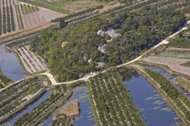 Neretva Deltasında tarım