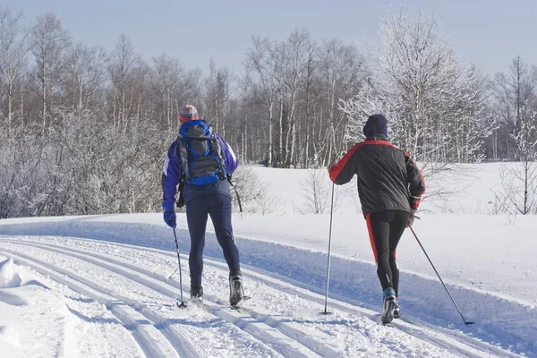 Cross-country skier in the track