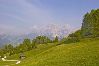 South Tyrol içinde Pralongia driveway