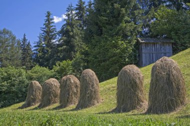 kurutma ve çim koruma yöntemi