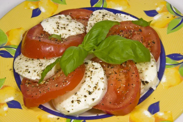 Mozzarella con tomates —  Fotos de Stock