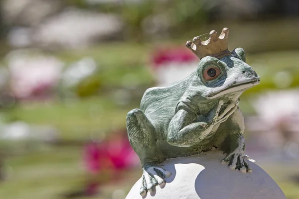 Frog prince in the water lily pond