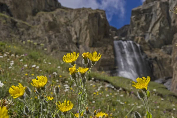 Cascata nel Gran Paradiso — Foto Stock