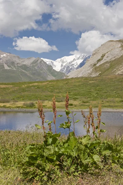 Landskap idyll i området Montblanc — Stockfoto