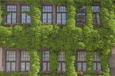 Quedlinburg belediye binasının detaylı görüntüsü