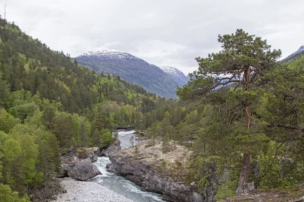 Vill elv Rauma i Romsdalen – stockfoto