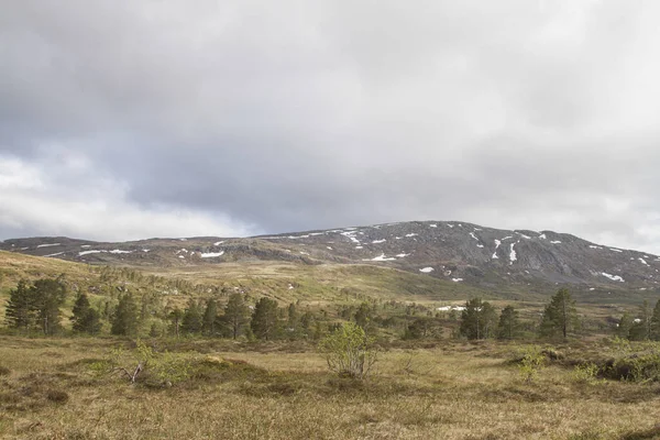 Orkanger Batısındaki Langlidalen Hoş Eski Bir Bataklık — Stok fotoğraf