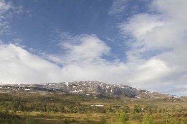 Orkanger 'in batısındaki Langlidalen' de hoş ve eski bir bataklık.
