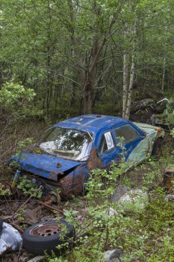 Norveç 'in güzel manzarasında tekrar tekrar karşılaştığınız bir sorun toplu atık ve hurda araçların vahşi bir şekilde atılmasıdır.