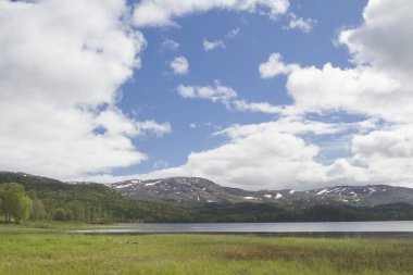 Oyevatnet - Norveç 'te Nordtrondelag' ın merkezinde bir göl