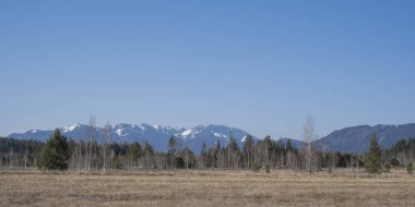 Bad Tlz yakınlarındaki cennet gibi Ellbacher Mağribi Benediktenwand ve Brauneck 'in arka planına karşı.