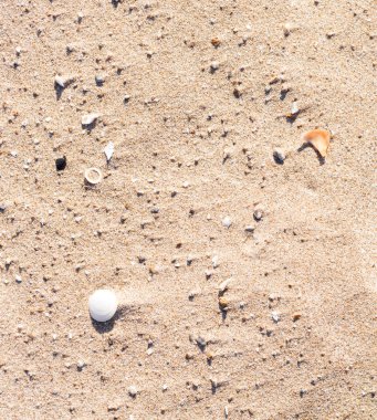 Kuru kum bileşenleri