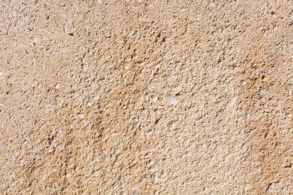 Текстура песчаника с окаменелостями — стоковое фото