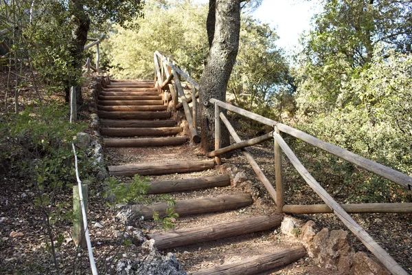 staircase made with wooden logs