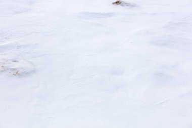 çimenlerin üzerinde temiz kar