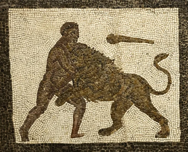 Herkules oroszlánnal harcol. — Stock Fotó